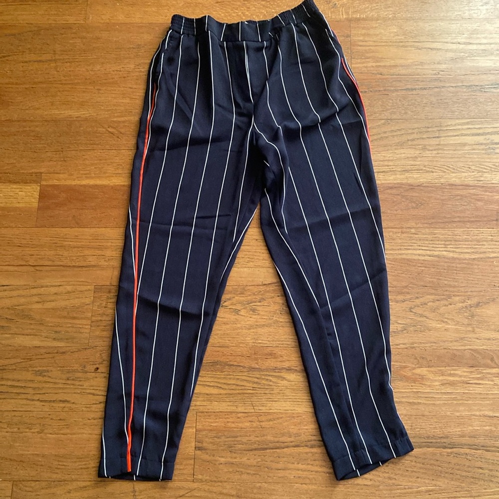 Anthropologie Pinstripe Pants